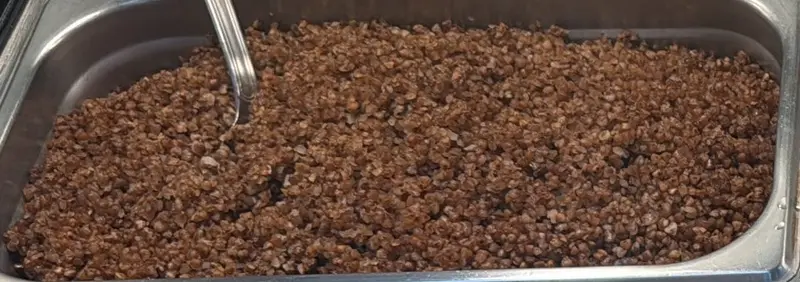 Buckwheat